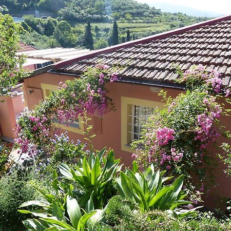 Belvedere Lodge Киавари Екстериор снимка